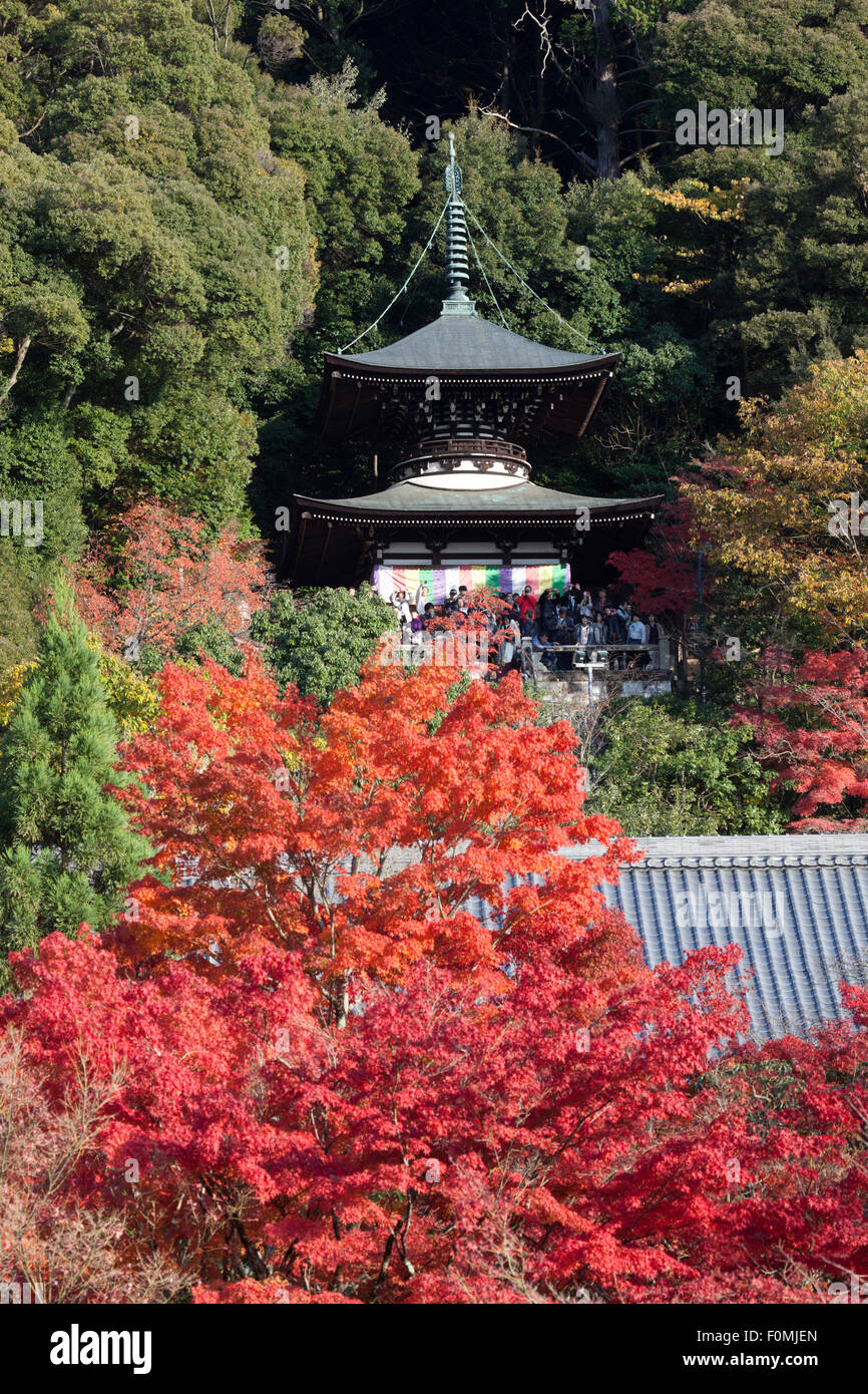 Herbstliche Ahornbäume und Pagode, Eikan-Do (buddhistische Tempel), nördliche Higashiyama, Kyoto, Japan, Asien Stockfoto