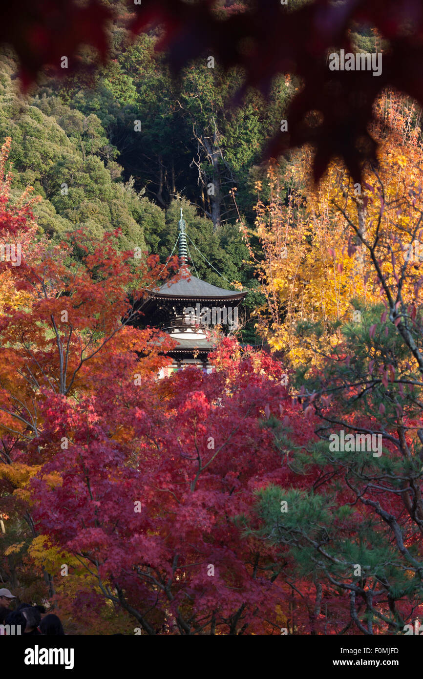 Herbstliche Ahornbäume und Pagode, Eikan-Do (buddhistische Tempel), nördliche Higashiyama, Kyoto, Japan, Asien Stockfoto