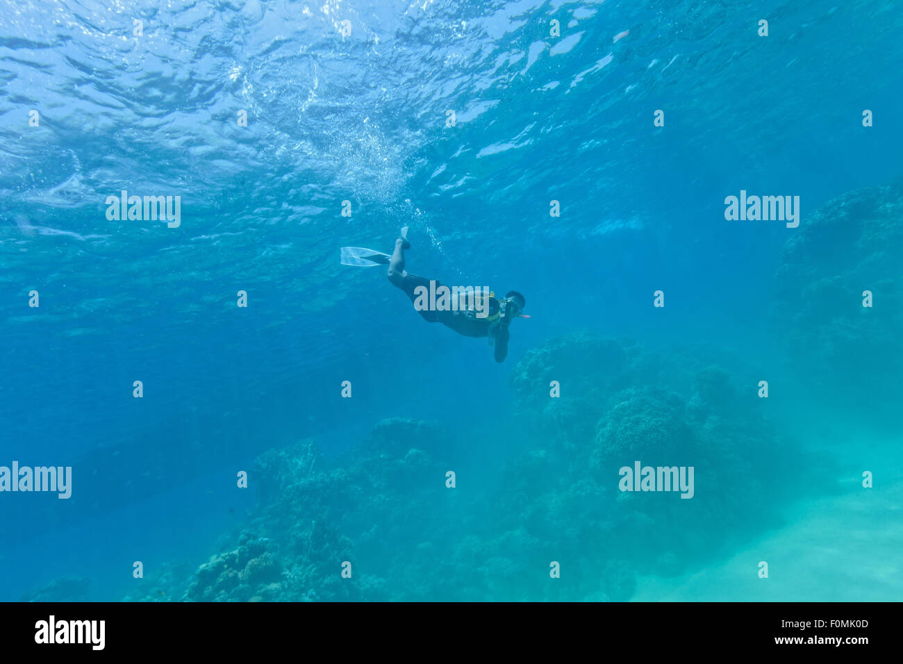 Unterwasser Korallenriff mit Kameramann Stockfoto