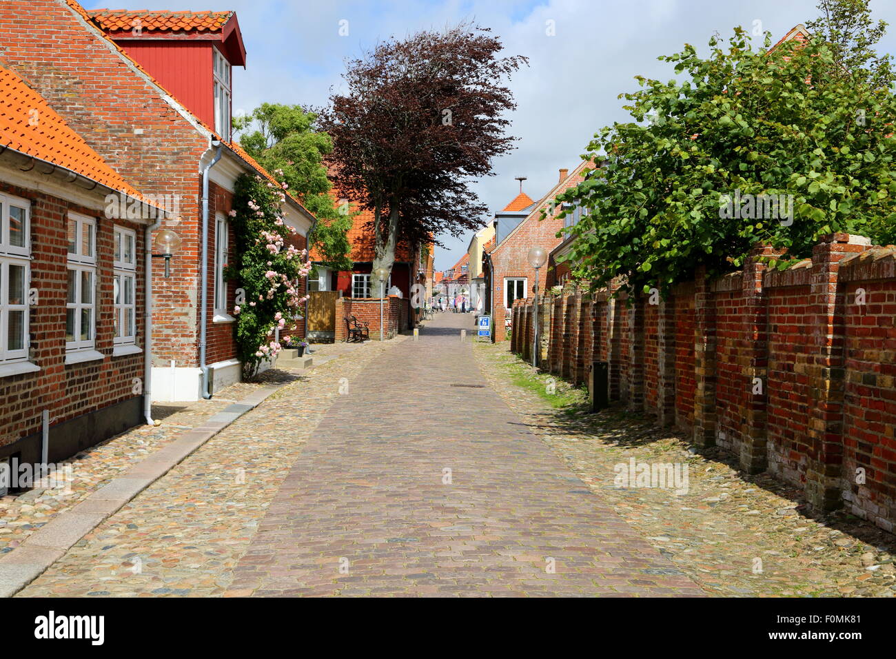 Groennegade ich Ringkoebing, Dänemark. Alte Straße mit Pflastersteinen, alten Häusern und Rambler stieg. Stockfoto