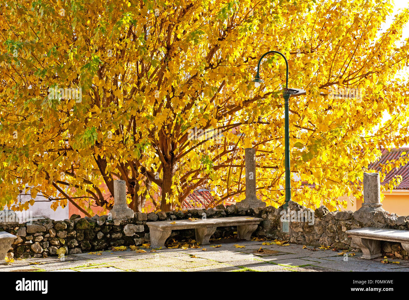 Schönen Herbst Garten und Steinbank Stockfoto