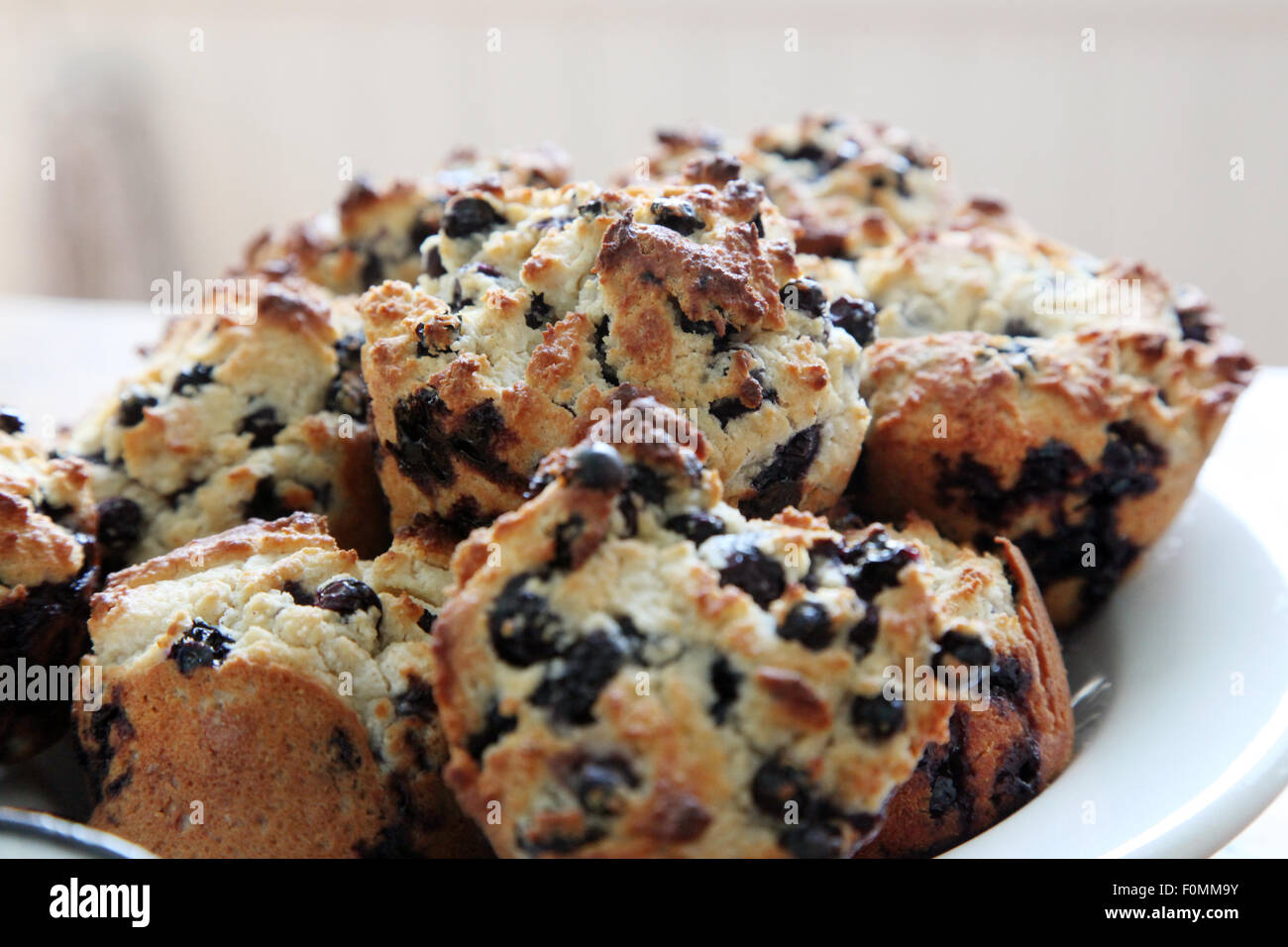 frisch gebackene Blaubeer-muffins Stockfoto