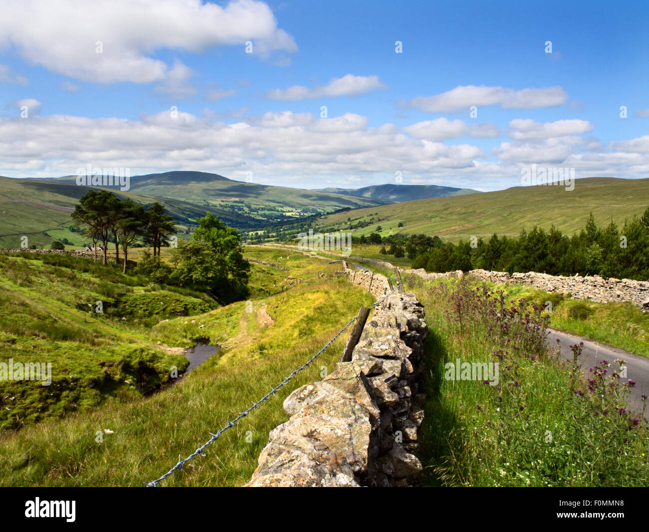 Die Kohle Weg und Affe Beck führen hinunter in Dentdale Yorkshire Dales Cumbria England Stockfoto