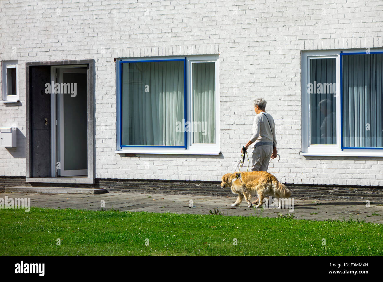 Blinde / Sehbehinderte ältere Frau zu Fuß draußen mit Blindenhund entlang weißes Haus Stockfoto