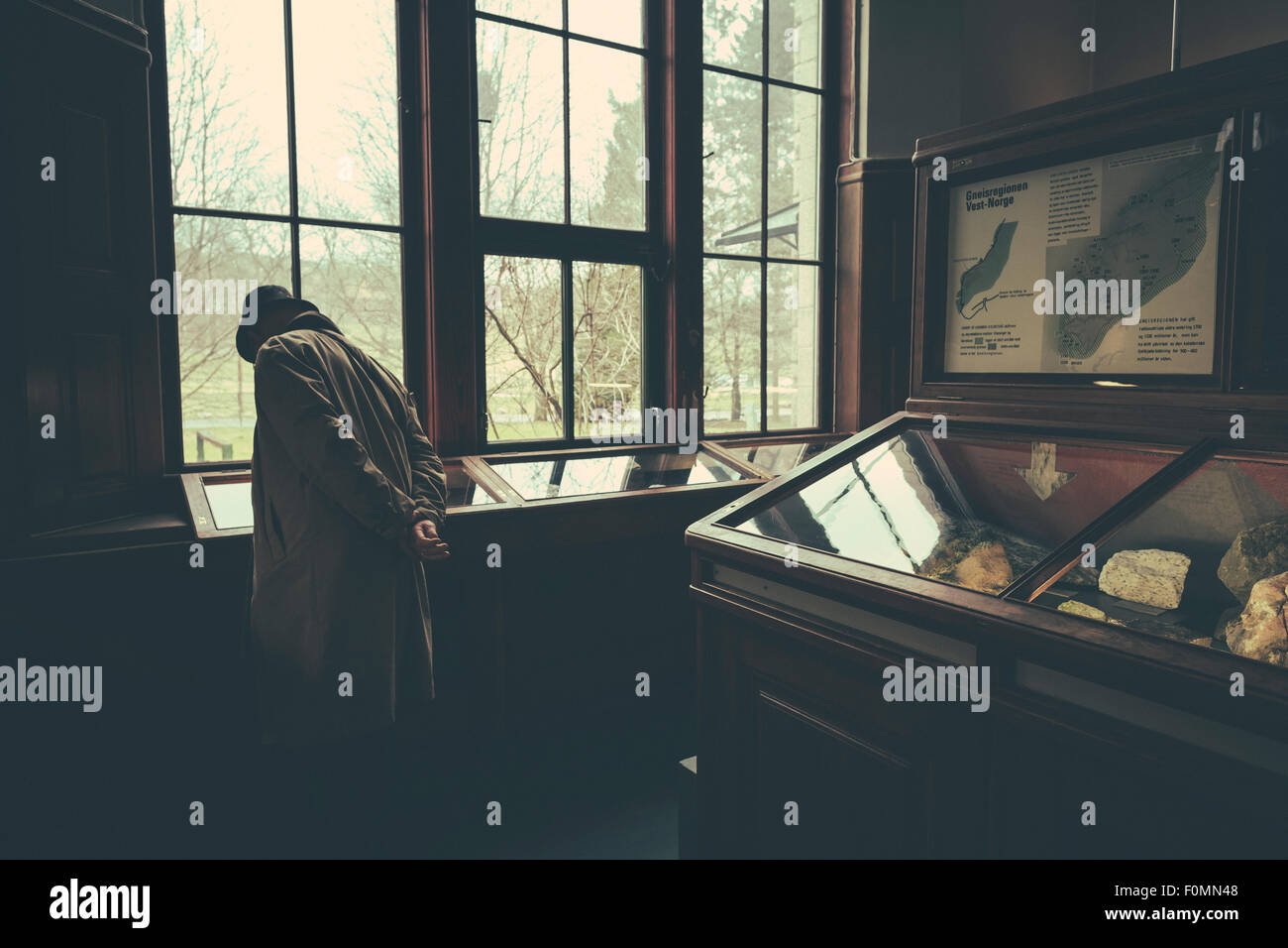 Ausstellung von Fossilien. Natural History Museum. Universität von Oslo. Norwegen. Stockfoto
