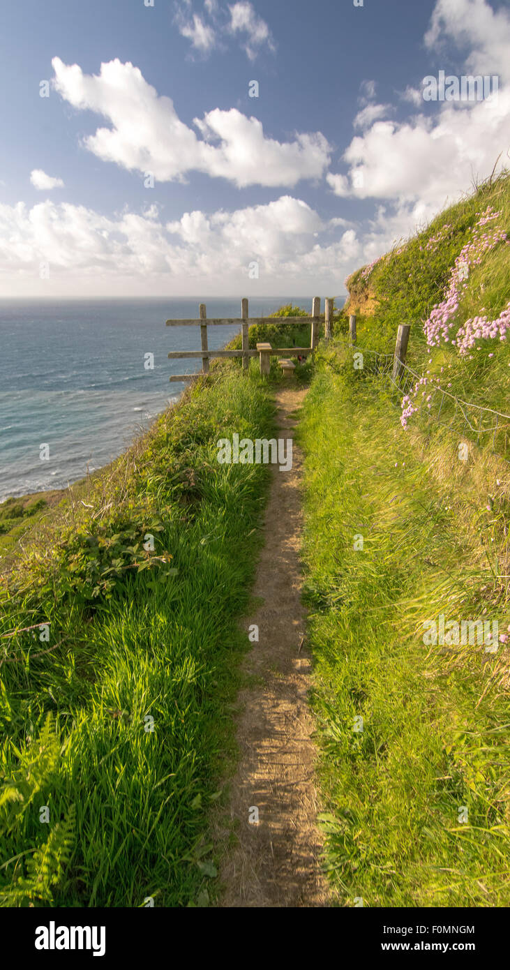 Die wunderschönen South West Coast Path. Aufgenommen am Millook Haven in Nord Cornwall, England, Vereinigtes Königreich. Stockfoto