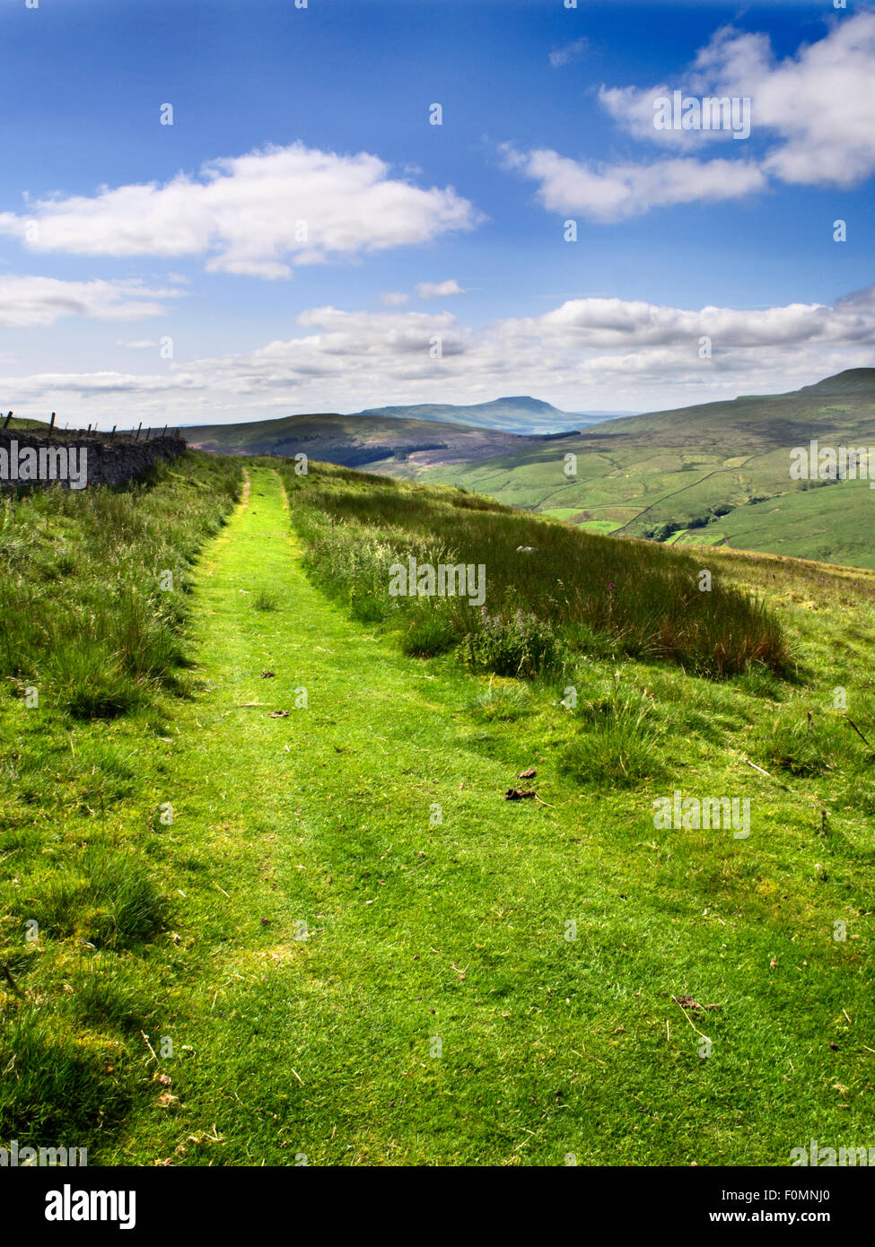 Der Pennine Maultierweg unter großen Knoutberry Hügel mit Ingleborough in der Entfernung Dentdale Yorkshire Dales Cumbria England Stockfoto