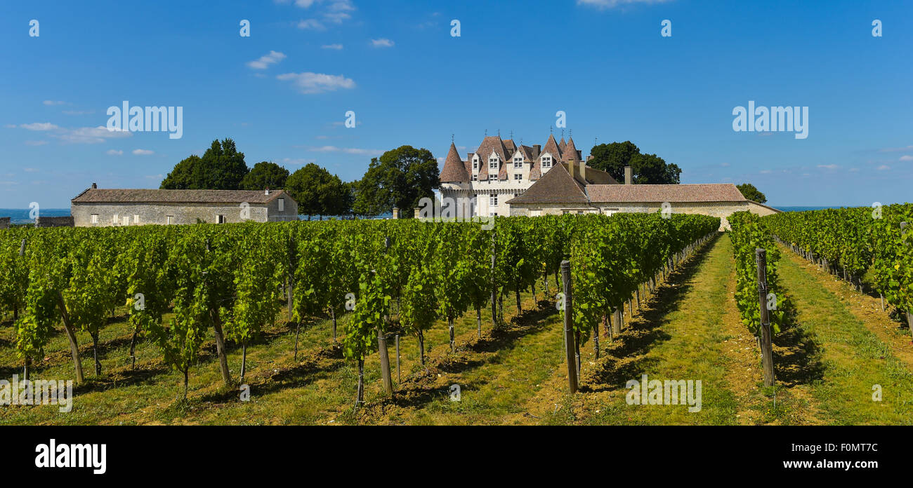 CHATEAU MONBAZILLAC AOC, MONBAZILLAC, Weinberg, BERGERAC DORDOGNE, AQUITAINE, Frankreich - Monbazillac Schloss (16. Jh.) und Re Stockfoto