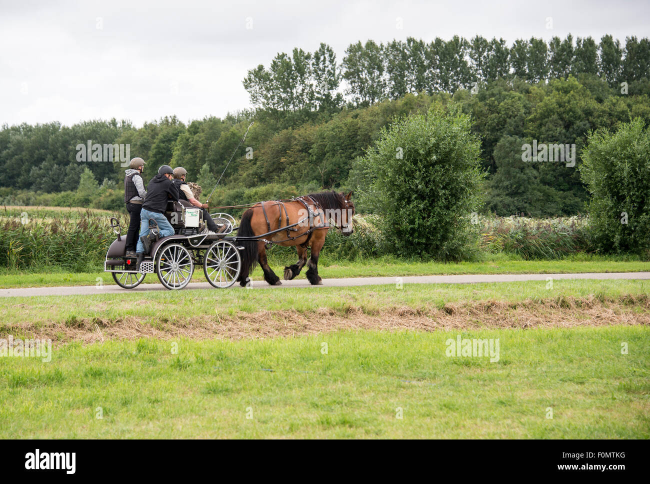 Rockanje, Niederlande. 18. August 2015. ROCAKNJE, Niederlande - 18. August 2015: Unbekannte Personen auf dem Pferd macht in Rockanje am 18. August 2015 teilnehmen. Dieser Wettbewerb ist für internationale Punkte Gutschrift: Chris Willemsen/Alamy Live-Nachrichten Stockfoto