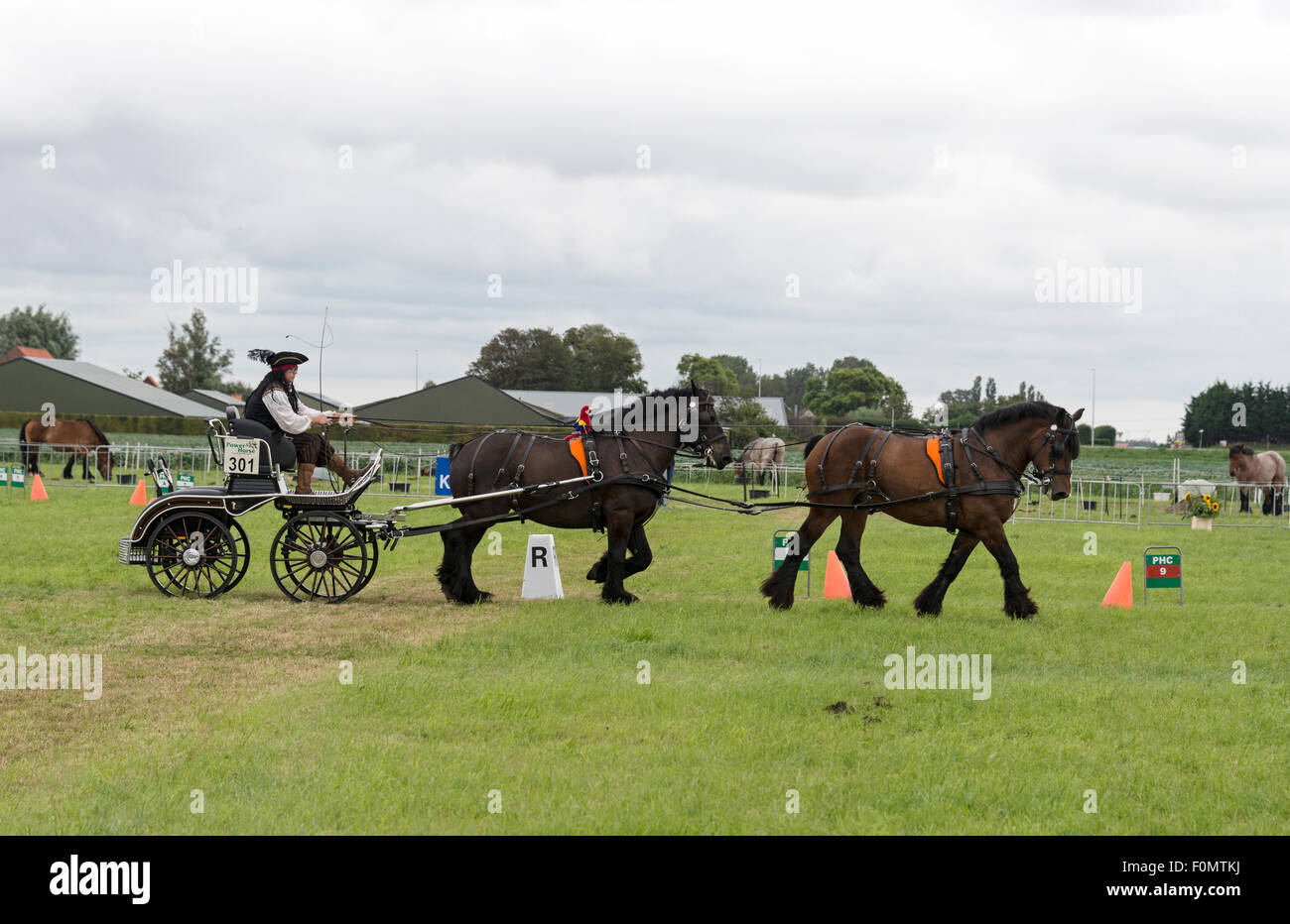 Rockanje, Niederlande. 18. August 2015. ROCAKNJE, Niederlande - 18. August 2015: Unbekannte Personen auf dem Pferd macht in Rockanje am 18. August 2015 teilnehmen. Dieser Wettbewerb ist für internationale Punkte Gutschrift: Chris Willemsen/Alamy Live-Nachrichten Stockfoto