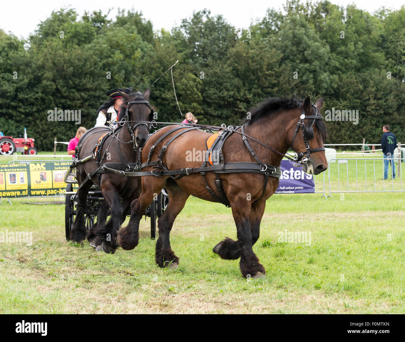 Rockanje, Niederlande. 18. August 2015. Unbekannte Personen teilnehmen auf dem Pferd macht in Rockanje am 18. August 2015. Dieser Wettbewerb ist für internationale Punkte Gutschrift: Chris Willemsen/Alamy Live-Nachrichten Stockfoto