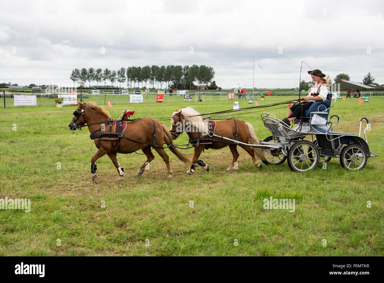 Rockanje, Niederlande. 18. August 2015. Unbekanntes Mädchen auf dem Pferd macht in Rockanje am 18. August 2015 teilnehmen. Dieser Wettbewerb ist für internationale Punkte Gutschrift: Chris Willemsen/Alamy Live-Nachrichten Stockfoto