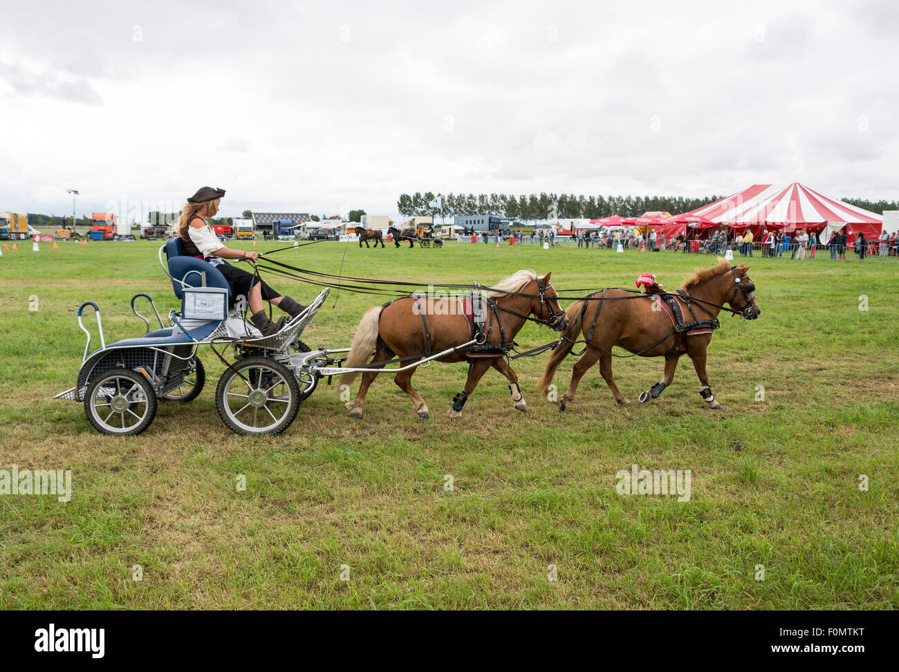 Rockanje, Niederlande. 18. August 2015. Unbekanntes Mädchen auf dem Pferd macht in Rockanje am 18. August 2015 teilnehmen. Dieser Wettbewerb ist für internationale Punkte Gutschrift: Chris Willemsen/Alamy Live-Nachrichten Stockfoto