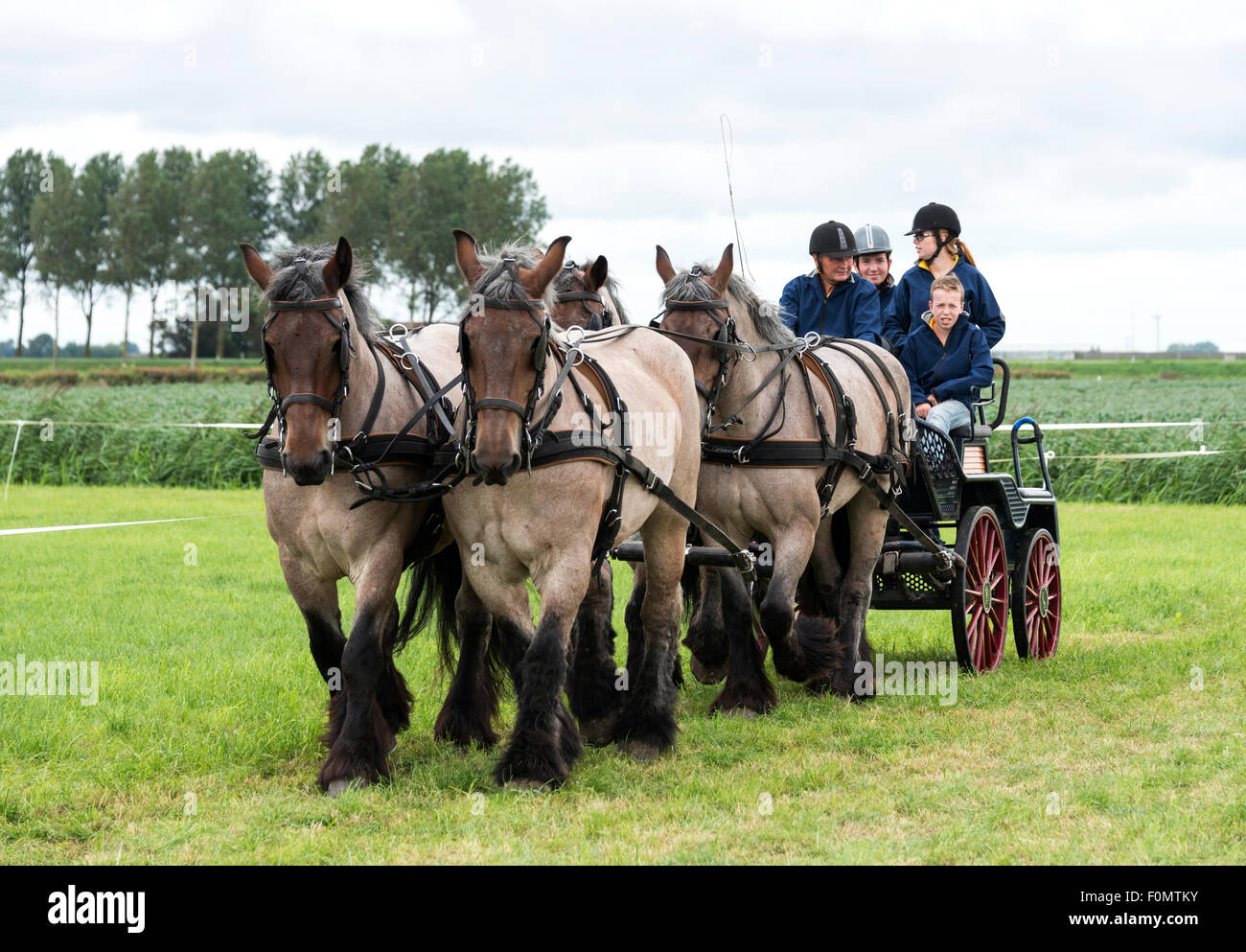 Rockanje, Niederlande. 18. August 2015. Unbekannte Personen teilnehmen auf dem Pferd macht in Rockanje am 18. August 2015. Dieser Wettbewerb ist für internationale Punkte Gutschrift: Chris Willemsen/Alamy Live-Nachrichten Stockfoto
