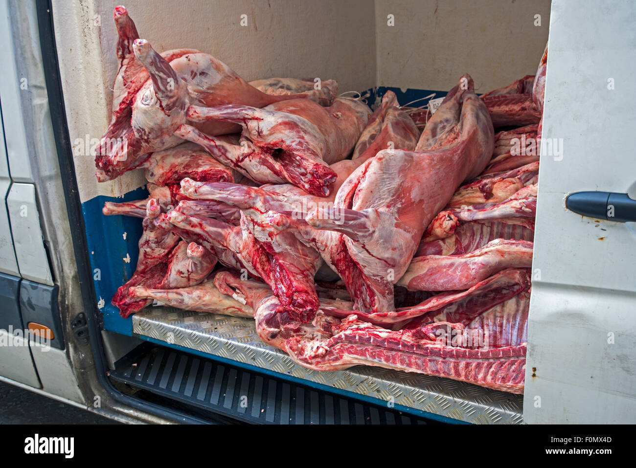 Schafe Karkassen in Potterrow, Edinburgh, Schottland, UK geliefert werden. Stockfoto
