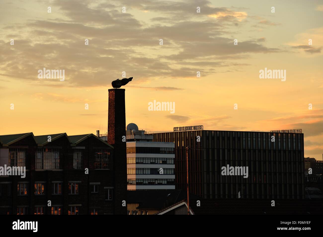 Glasgow, Schottland. 18. August 2015. Neue am Flussufer Glasgow City College Campus fügt die Glasgow Skyline wie den Sonnenuntergang über der Stadt. Bildnachweis: Tony Clerkson/Alamy Live-Nachrichten Stockfoto