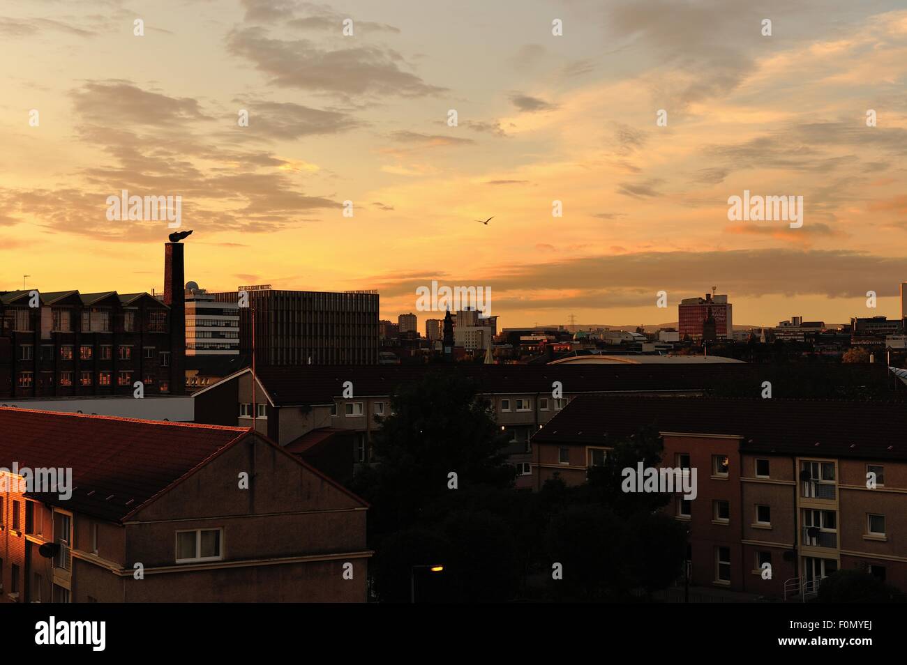 Glasgow, Schottland. 18. August 2015. Neue am Flussufer Glasgow City College Campus fügt die Glasgow Skyline wie den Sonnenuntergang über der Stadt. Bildnachweis: Tony Clerkson/Alamy Live-Nachrichten Stockfoto