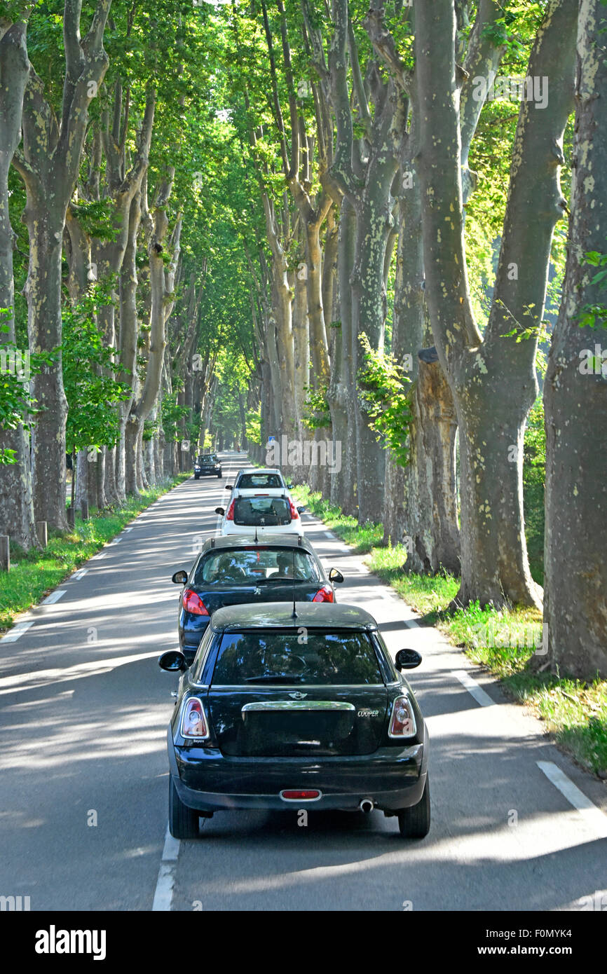Rückansicht von Autofahrern und Autos fahren in der Sonne auf der rechten Seite der Französisch geraden Straße Avenue mit Baum gesäumten Rändern Sommer in Provence Frankreich Stockfoto