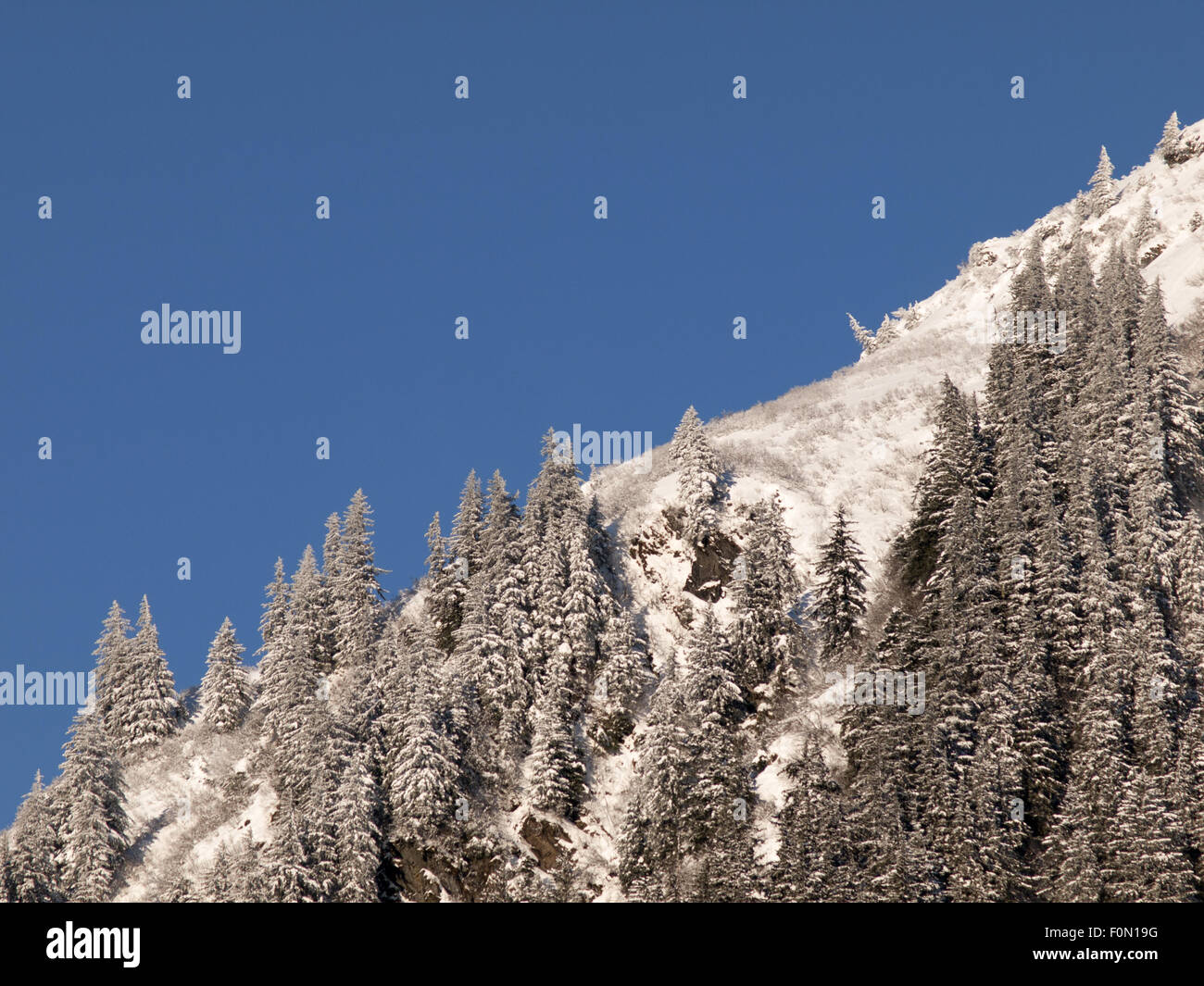 Mount Juneau Schnee Südost-Alaska Stockfoto
