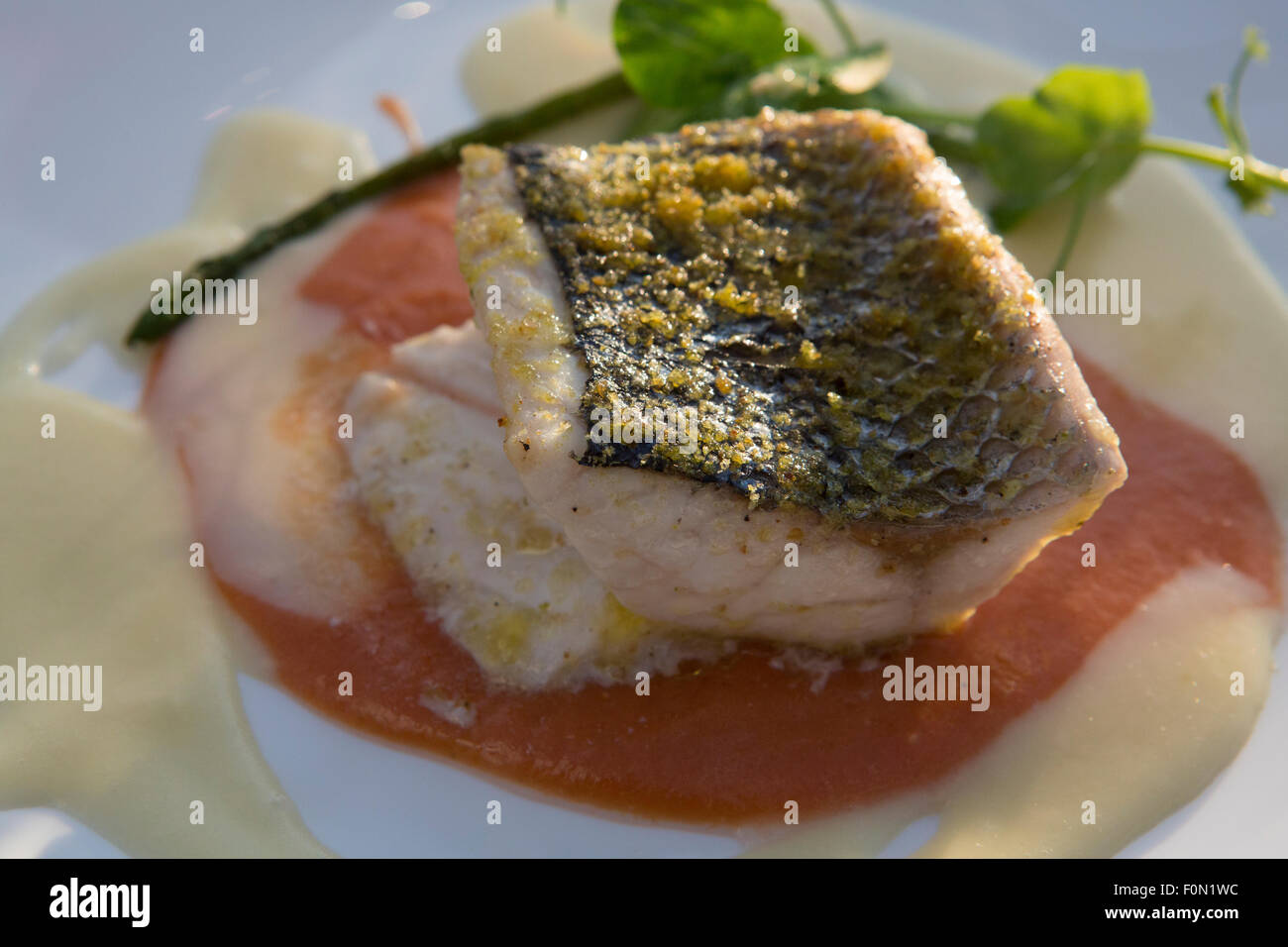 Geschlossen bis der Dorade Fisch mit Gemüse auf weißen Teller Stockfoto