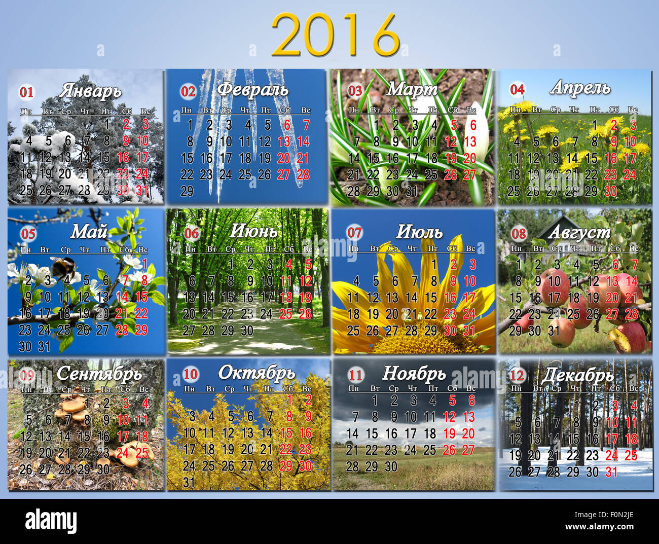 Kalender für das Jahr 2016 in russischer Sprache mit Foto der Natur für jeden Monat. Kalender für die Verwendung von office Stockfoto