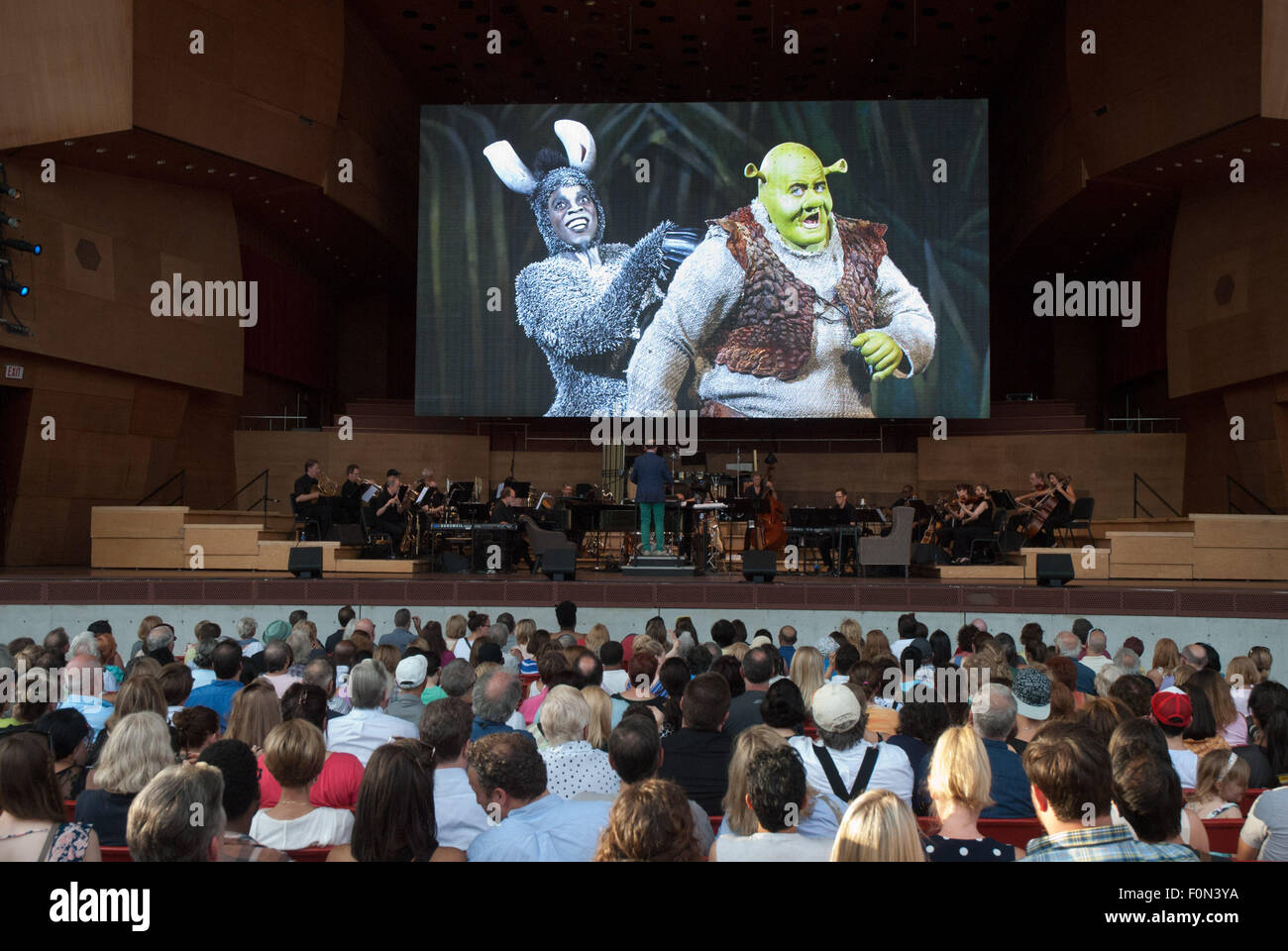 Chicago, Illinois, USA. 17. August 2015. Sonntag, 17. August, begeisterte Broadway in Chicago das Publikum versammelt im Millennium Park Chicago mit einer Vorschau von 10 Musicals, die in der Windy City spielen wird. Die Aufführungen fanden im Pritzker Pavillion, eine Outdoor-Location im Herzen von Chicago. Janet Davies war Reporter auf ABC-TV der Zeremonienmeister für den Abend. Eine große Leinwand über der Bühne zeigten die live-Performance, so dass Tausende von Theater-Besucher die Show sehen konnte. Nach der Nationalhymne wurde eine Hommage an den Broadway auf Bildschirm, gefolgt von Performa gezeigt. Stockfoto