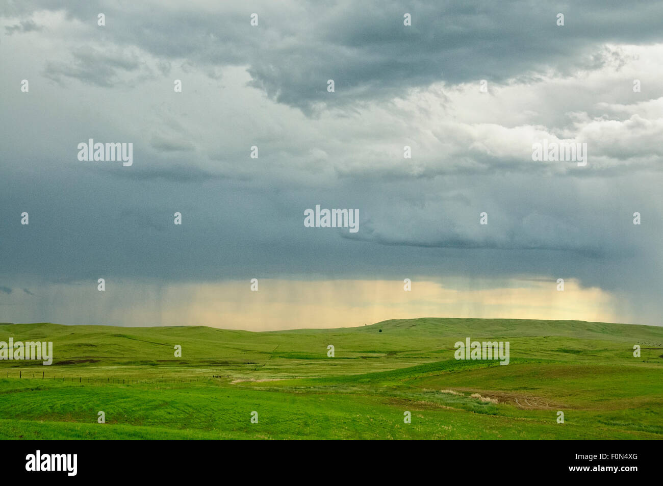 Gewitter und Ranchland, Fergus County, zentrale Montana. Stockfoto