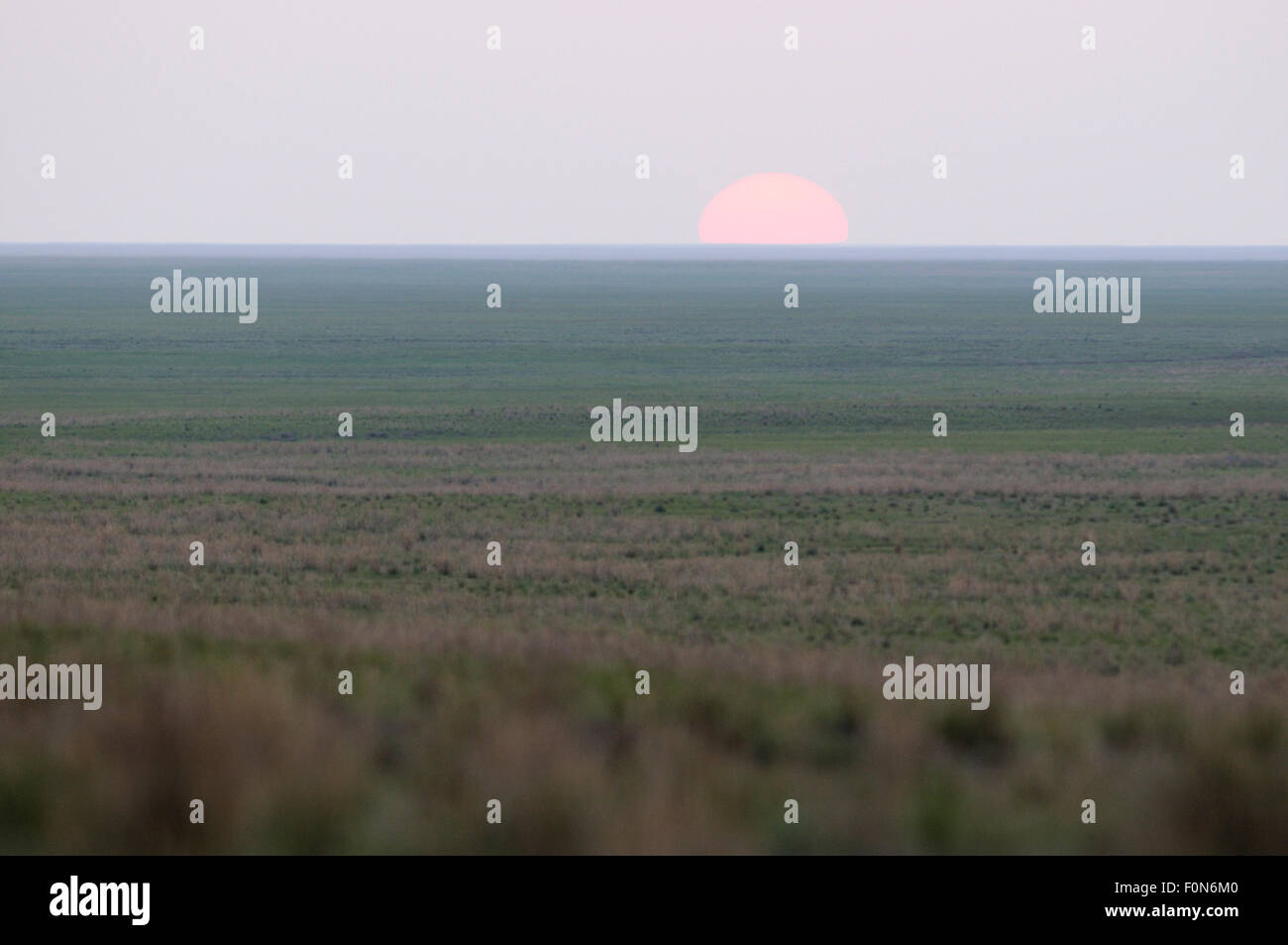 Sonnenuntergang in der Steppe, Cherniye Zemli (Schwarzerde) Nature Reserve, Kalmückien, Russland, April 2009 Stockfoto