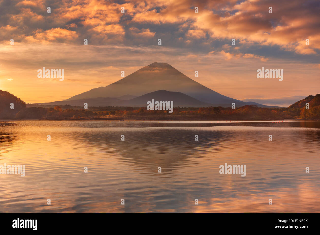 Mount Fuji (Fujisan, 富士山), fotografiert bei Sonnenaufgang vom See Shoji (Shojiko, 精進湖). Stockfoto