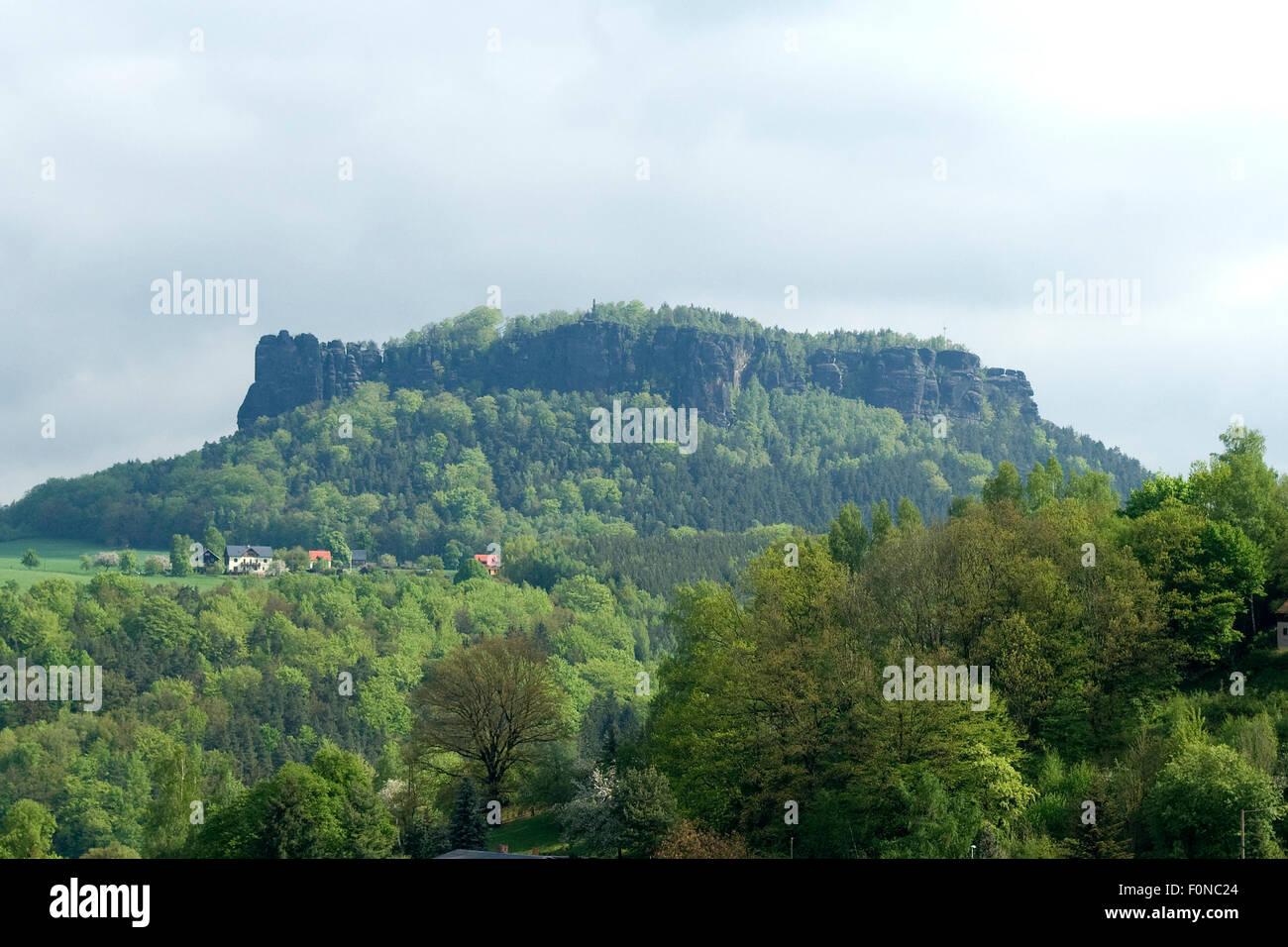 Elbsandsteingebirge, Elbe, Fluss, Sandstein, Stockfoto