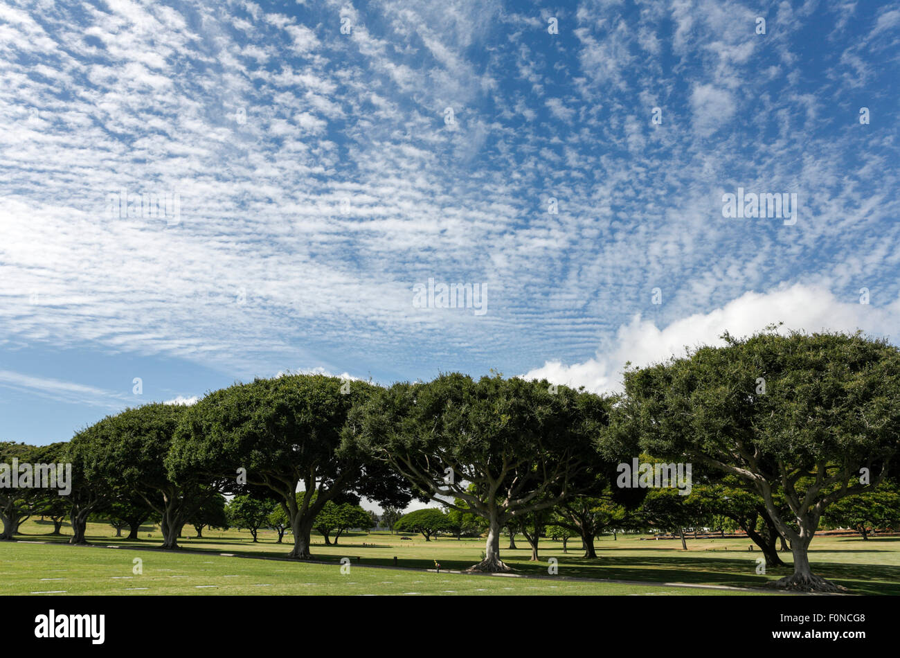 Honolulu, Hawaii, USA. 12. August 2015. National Memorial Cemetery of the Pacific (Punchbowl Cemetery) befindet sich auf Oahu, Hawaii. Stockfoto