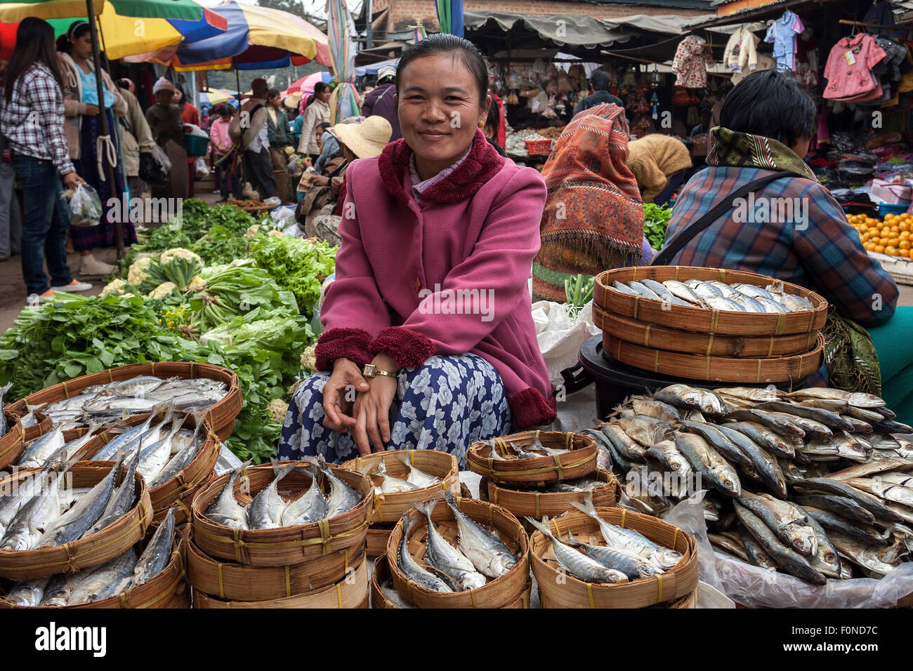 Lokale Frau verkaufen Fisch auf einem Markt, Markt, Kyaing Tong Shan State in Myanmar Stockfoto