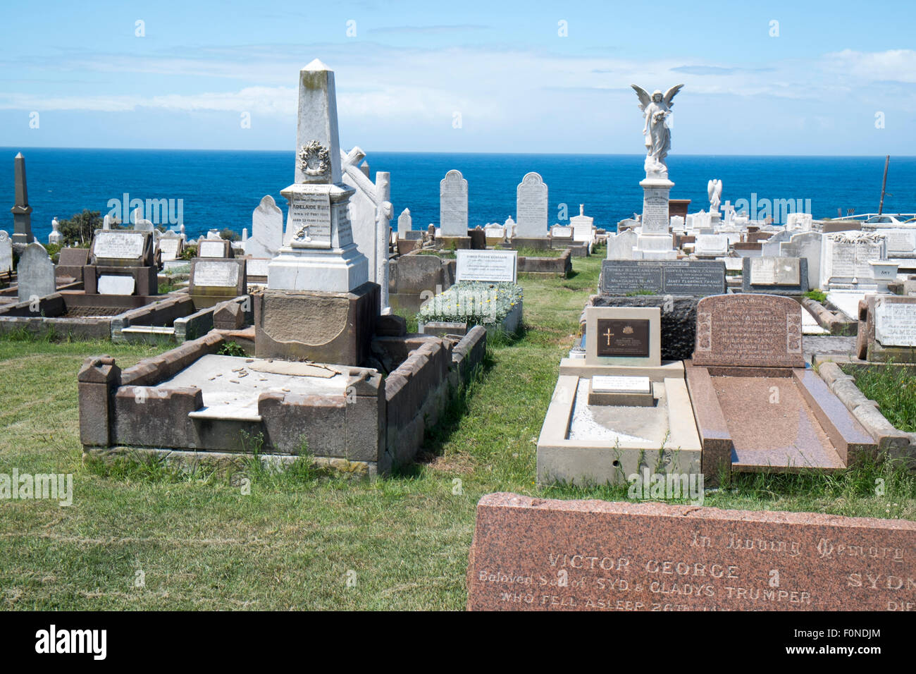 Waverley Friedhof in Bronte, Sydney östliche Vororte, New South wales, Australien, neben dem Ozean mit Grabsteinen Stockfoto