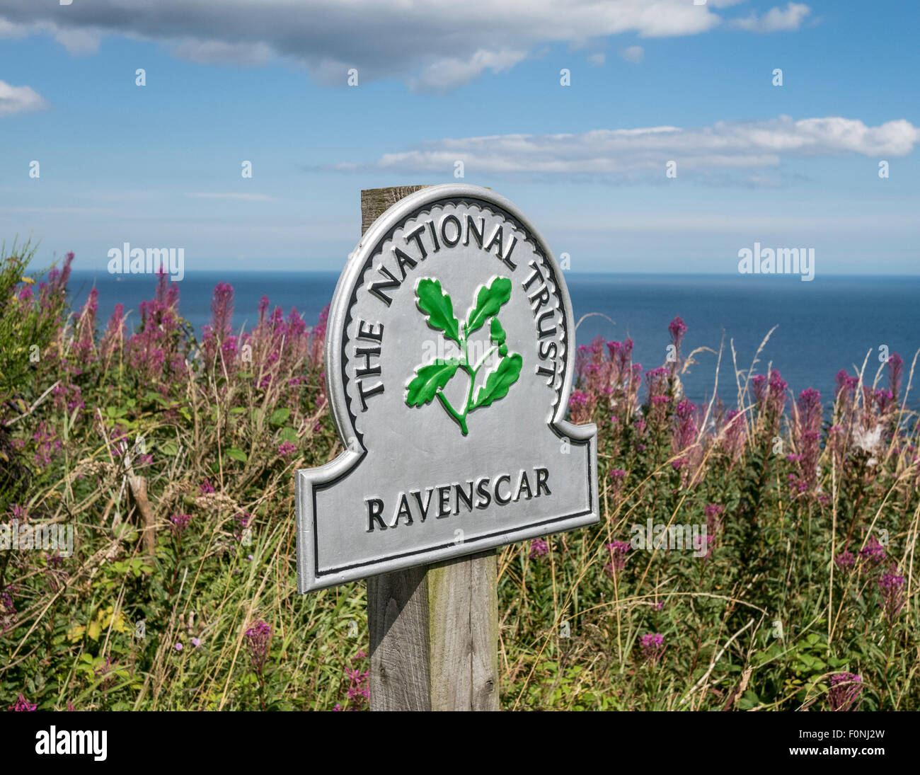 National Trust Zeichen Ravenscar Yorkshire Coast UK Stockfoto