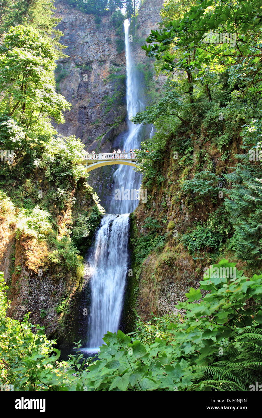 Multnomah Falls, Oregon Stockfoto