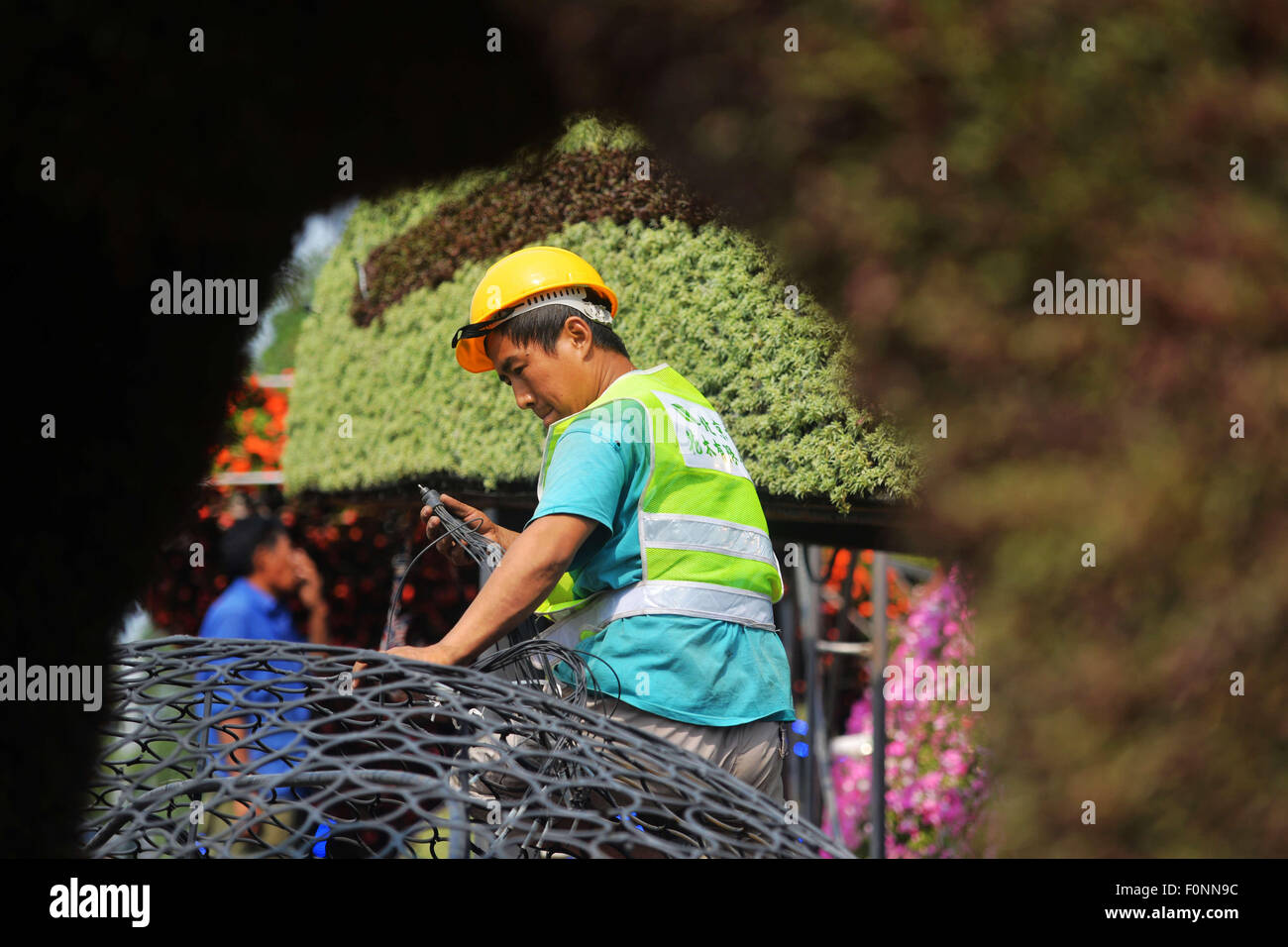 Peking, China. 19. August 2015. Ein Gärtner arbeitet an einem Parterre entlang der Chang'an Straße in Peking, Hauptstadt von China, 19. August 2015. Einstellung der Blumenschmuck in Peking erfolgt Ende August um die Militärparade am 3. September zu begrüßen. Bildnachweis: Chen Bin/Xinhua/Alamy Live-Nachrichten Stockfoto