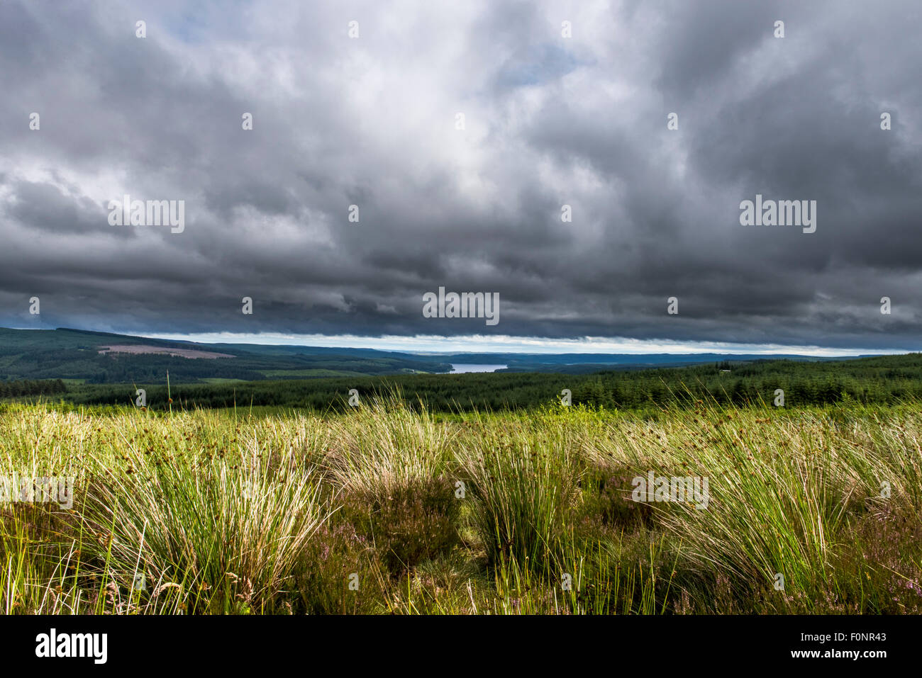 Kielder Wasser und Waldpark Northumberland, England, Großbritannien, Vereinigtes Königreich Stockfoto