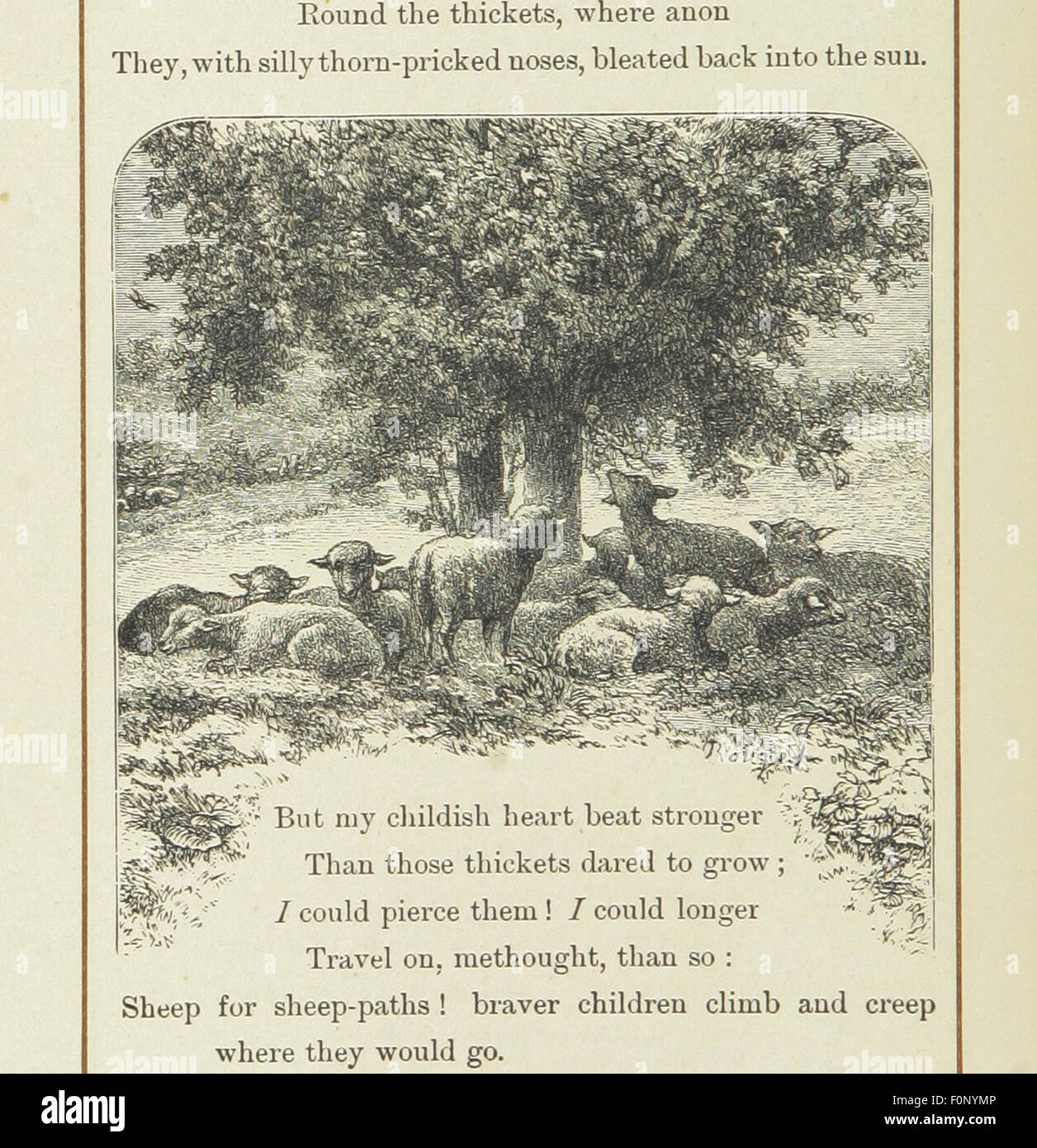 Ein Bild von Seite 26 von „Songs of the Woods“, einer Gedichtsammlung mit Werken verschiedener Dichter. Das Buch wird von Giacomelli illustriert und fängt die Schönheit der Wälder und der Natur durch Verse und Illustration ein, was es zu einem Geschenkbuch für Naturliebhaber macht. Stockfoto