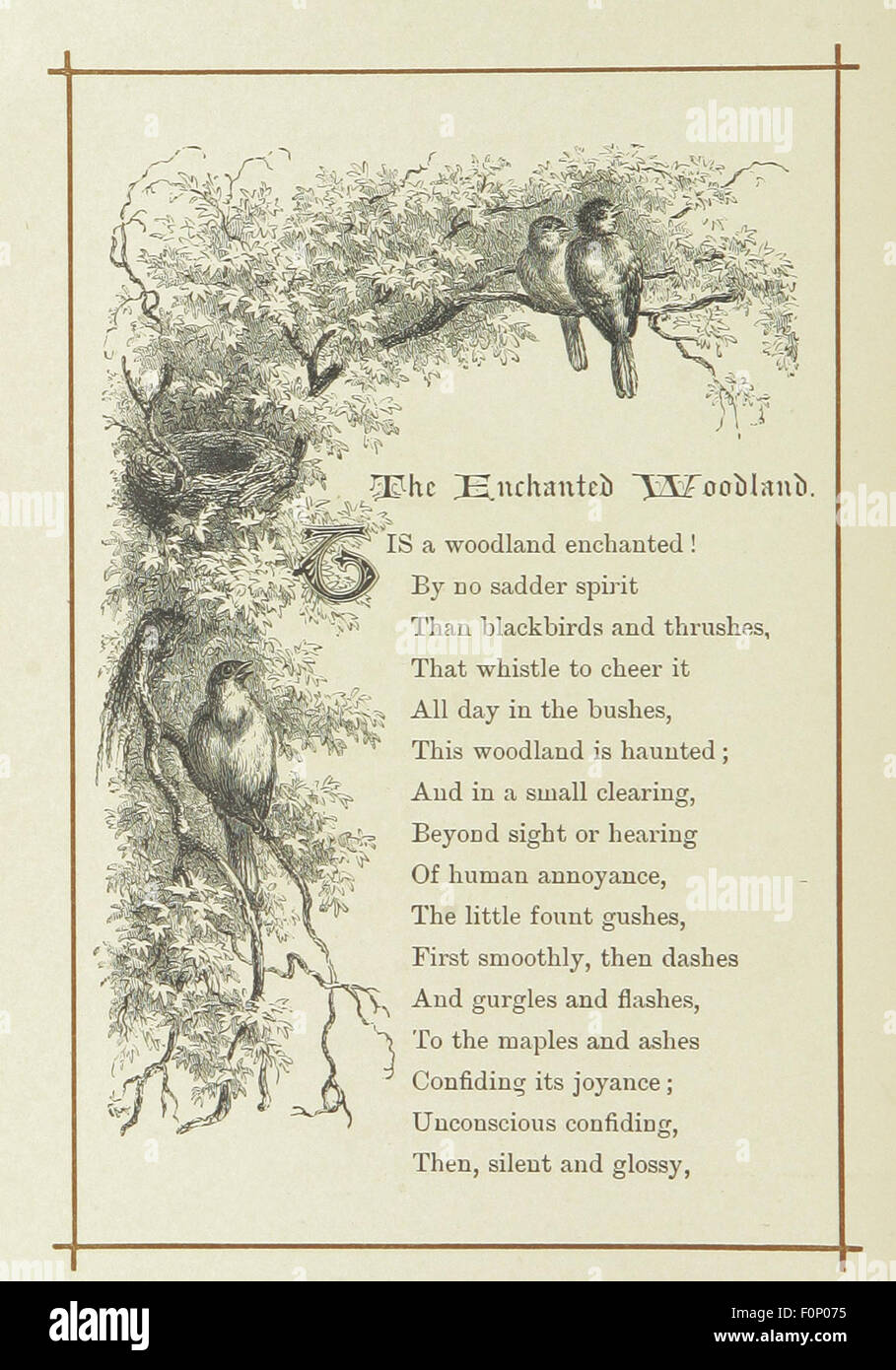 Dieses Bild stammt von Seite 30 von „Songs of the Woods“, einem Gedichtband verschiedener Dichter mit Illustrationen von Giacomelli. Das Buch zelebriert die Natur und die Schönheit des Waldes durch Verse und Kunst. Stockfoto