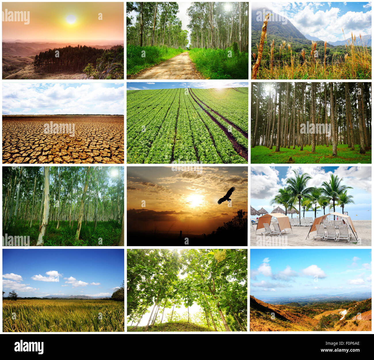 Eine Sammlung von schönen Landschaften Szenen zusammen in einer collage Stockfoto