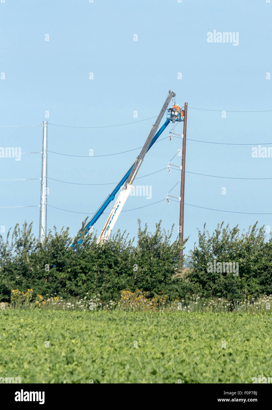 Hydro Arbeiter auf Kran auf die Stromleitungen nur außerhalb der Gesamtstruktur, Ontario, Kanada Stockfoto