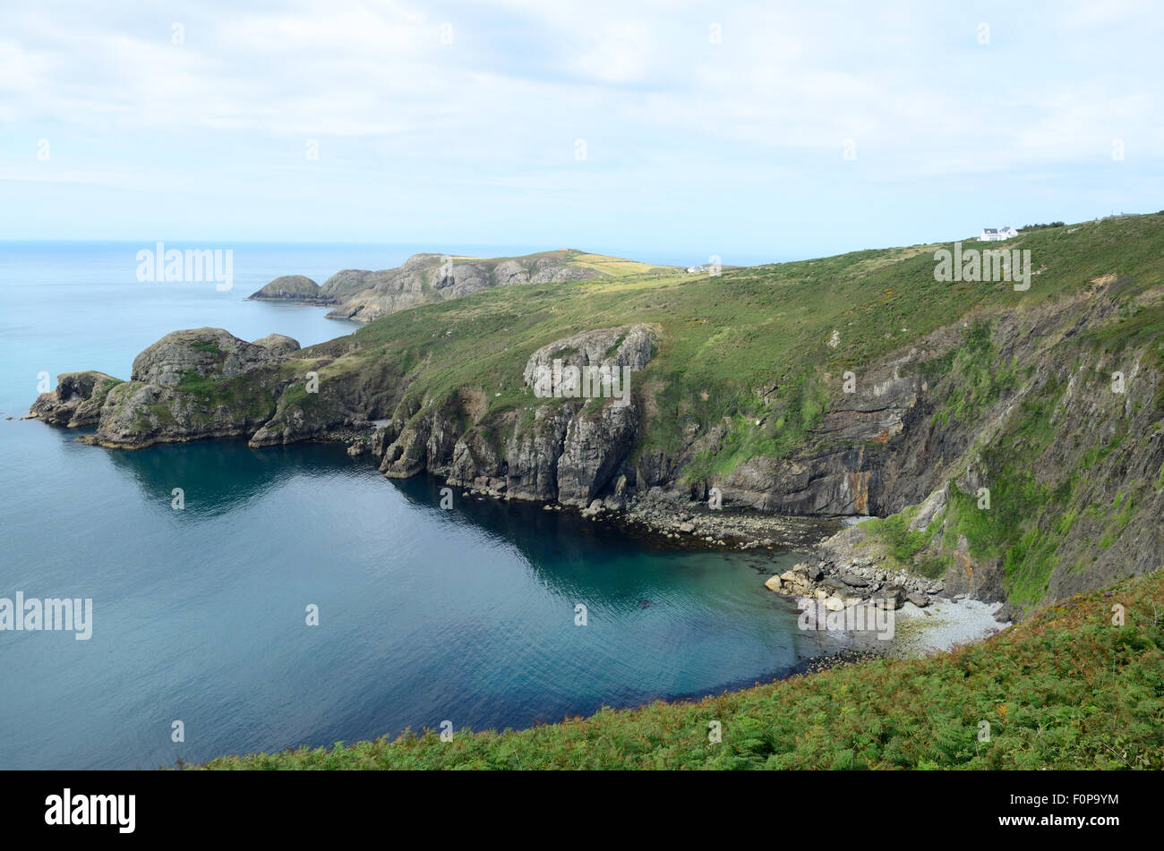 Pwll Deri Welsh zerklüftete Küste von Pembrokeshire Coast Path Wales Cumru GB UK Stockfoto
