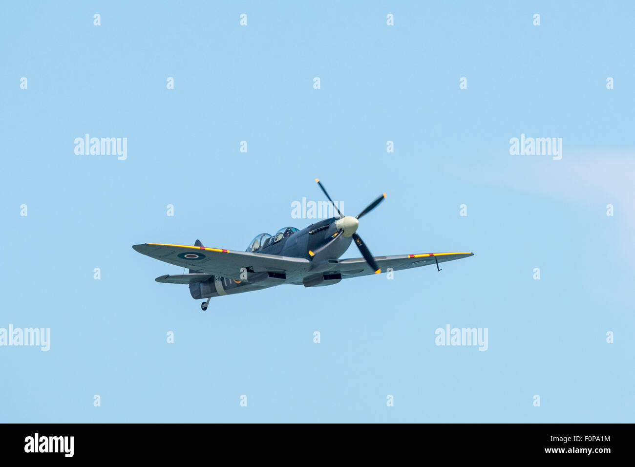 Die Tr.9 Spitfire Trainer fliegen bei Airbourne (Eastbourne) 2015 Stockfoto
