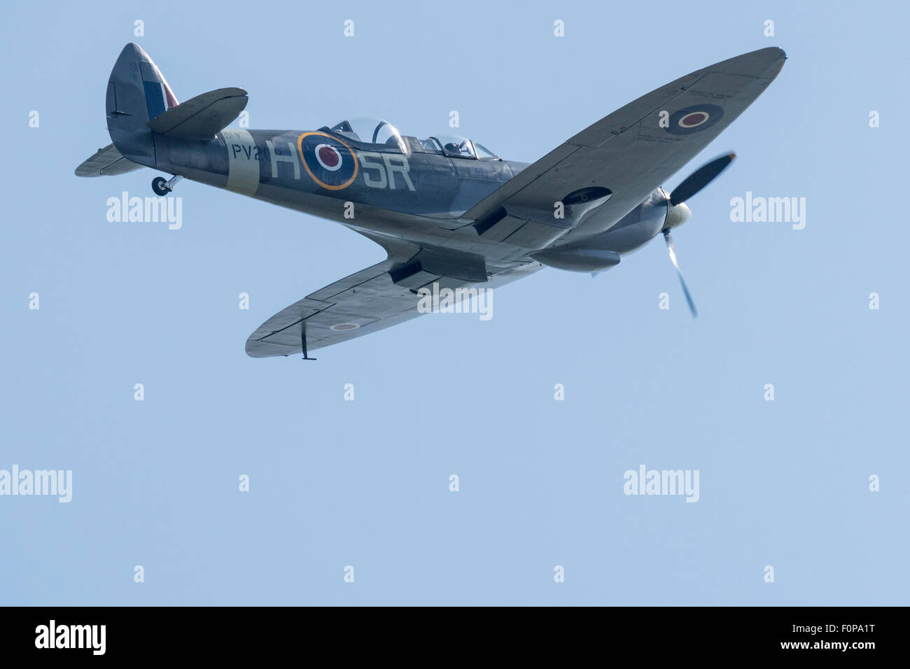 Die Tr.9 Spitfire Trainer fliegen bei Airbourne (Eastbourne) 2015 Stockfoto