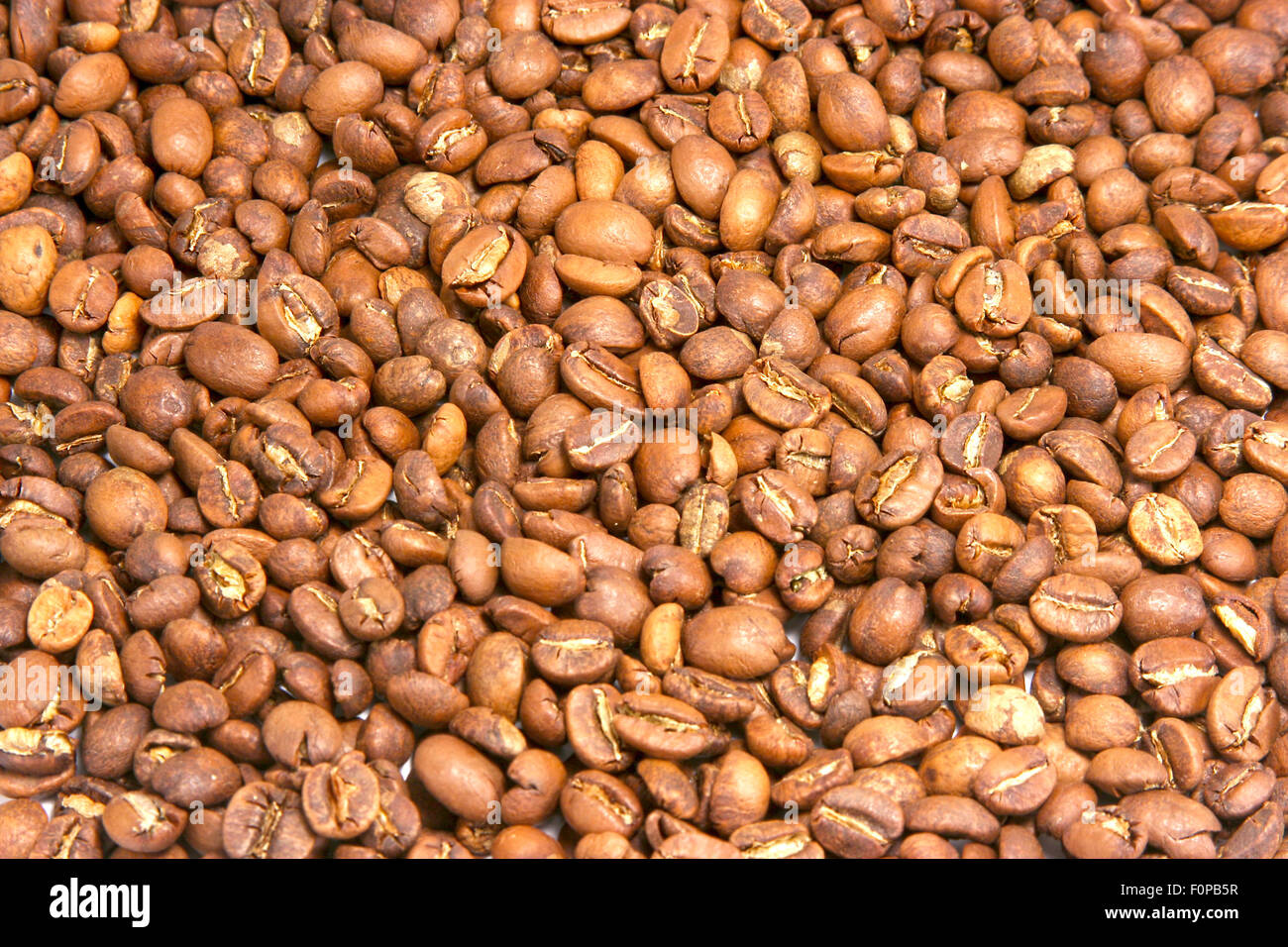 Makroaufnahme von Kaffeekörner Stockfoto