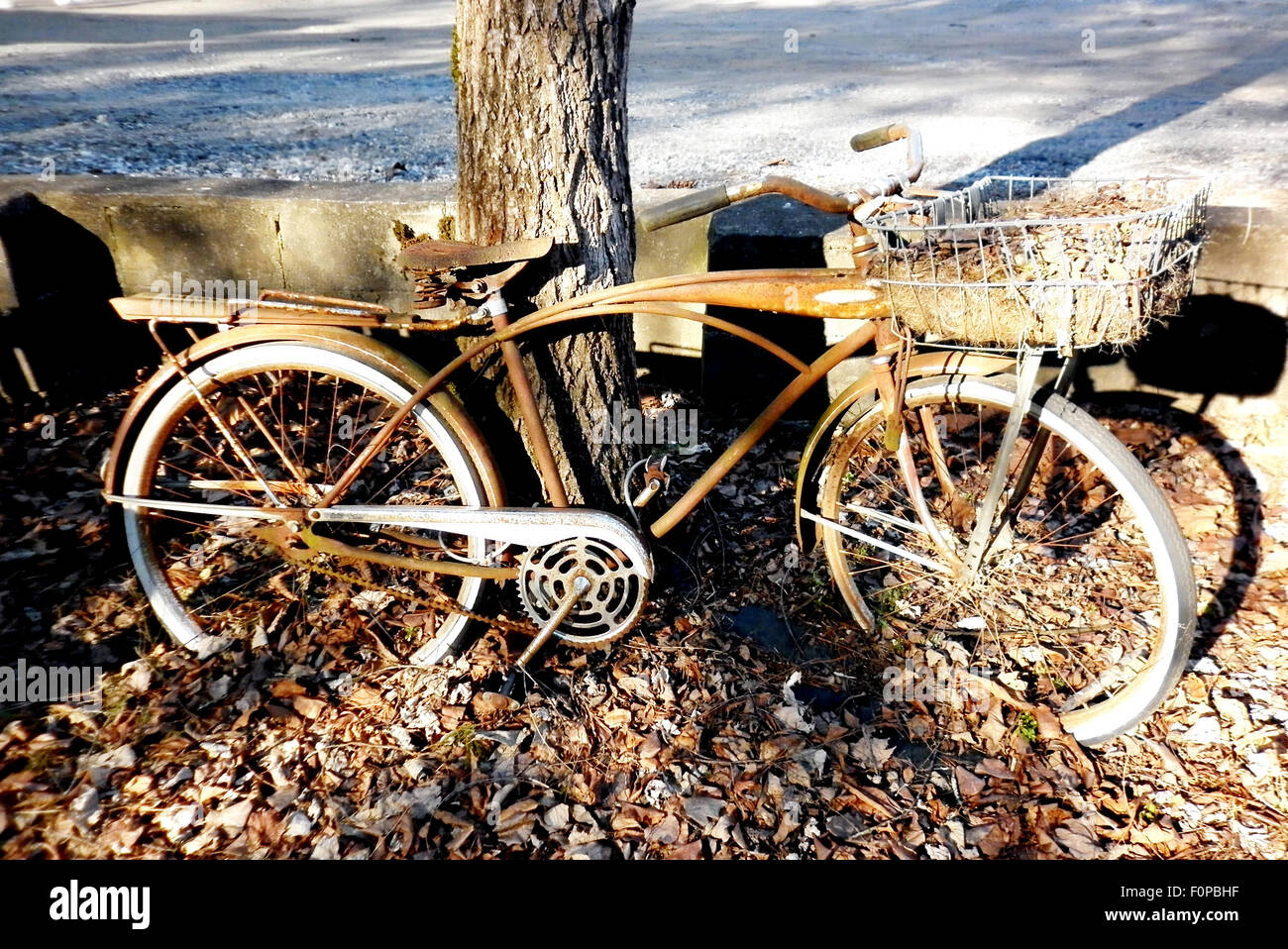 Altes rostigen Fahrrad stützte sich auf einen Baum Stockfoto