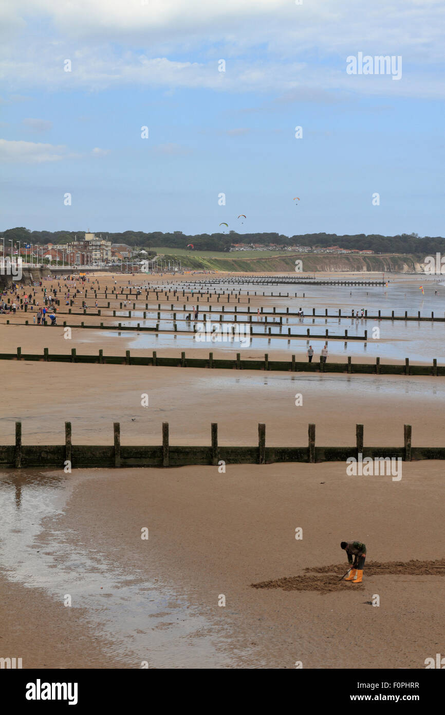 Mann auf der Suche nach Köder am North Beach, Bridlington, East Yorkshire, England, UK. Stockfoto