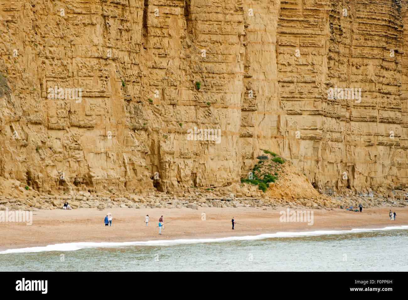 Die Klippen der "Jurassic Coast" im Osten von West Bay in der Nähe der Stadt Bridport, Dorset, England, UK. Stockfoto