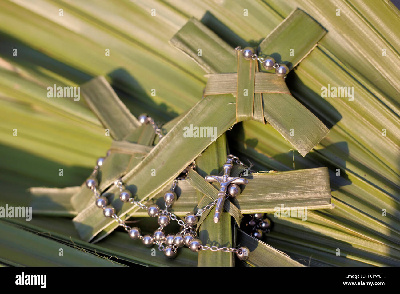 Palm-Kreuze mit Rosenkranz auf einem Bett aus Palmblättern Stockfoto