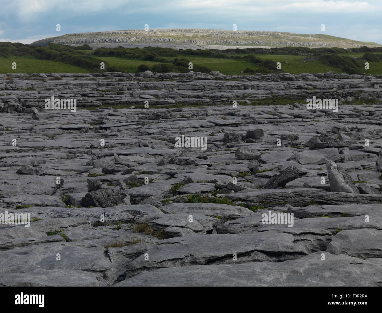 Karstlandschaft in der Nähe von Schwarzpunkt, Burren Nationalpark, County Clare, Irland, Juni 2009 Stockfoto